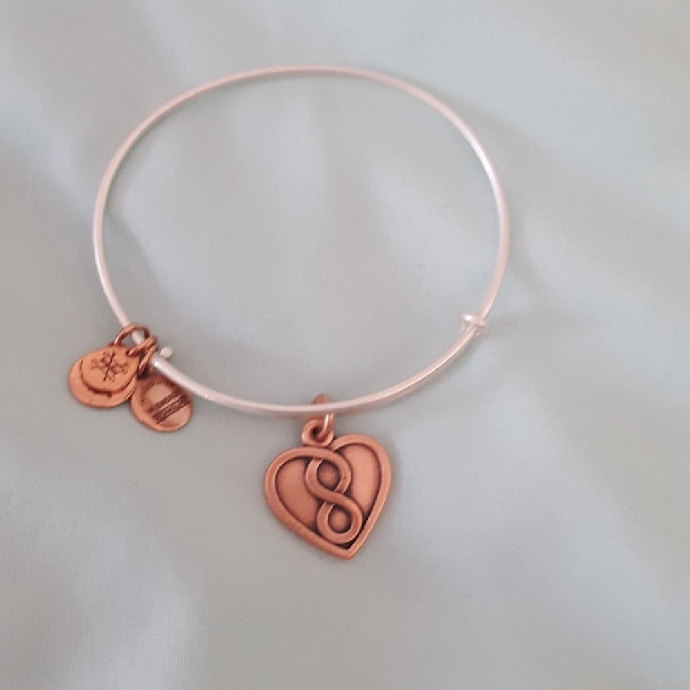 Silver Rose Gold 2019 Alex & Ani Daughter Bracelet